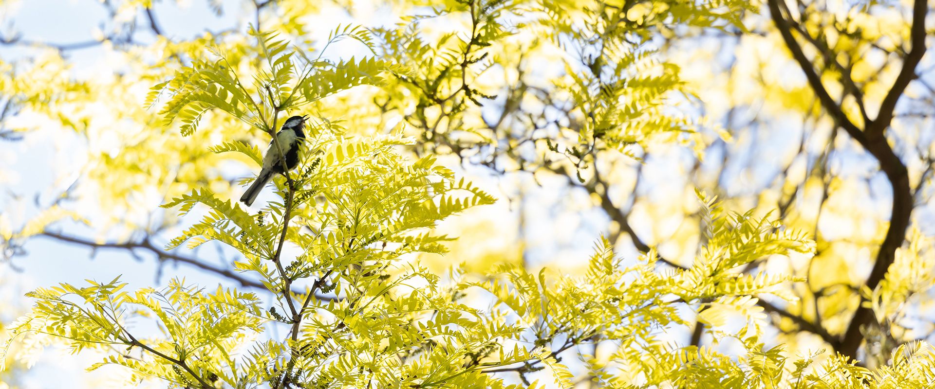 Hero 1 - Duurzaamheid